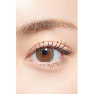 Hapa Kristin 1Day — A To Z Kristin(13.9mm) Brown 日抛 10片裝